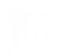 Logo-Lumi-Br-Vertical
